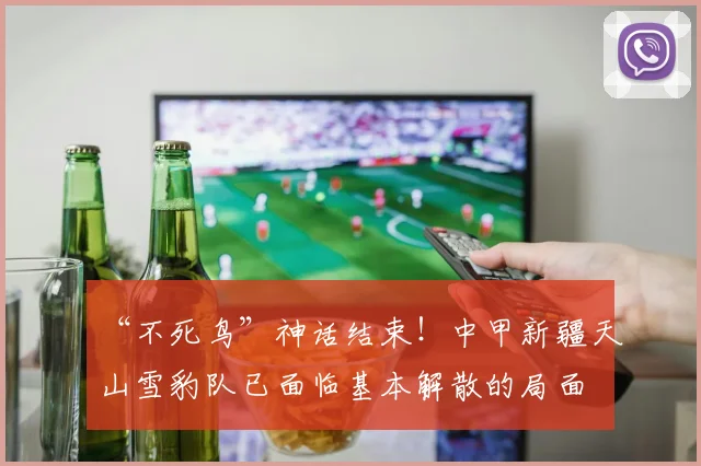“不死鸟”神话结束！中甲新疆天山雪豹队已面临基本解散的局面